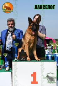 10_Puppies_Ekaraj_Nikita_LANCELOT