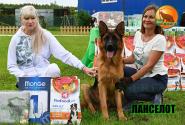 11_Puppies_Ekaraj_Nikita_LANCELOT