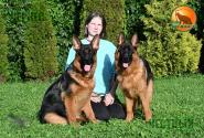 34_Puppies_LUCKY_YUYU_CHERKES_CHESTNYY_BR_SH