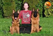 37_Puppies_LUCKY_YUYU_CHERKES_CHESTNYY_BR_SH