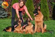 39_Puppies_LUCKY_YUYU_PUPPIESS_BR_SH